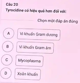 Câu 20
Tyrocidine có hiệu quả hơn đối với:
Chọn một đáp án đúng
A )
Vi khuẩn Gram dương
B
B
Vi khuẩn Gram âm
C v
Mycoplasma
D D
Xoán khuẩn