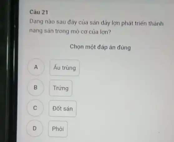 Câu 21
Dạng nào sau đây của sản dây lợn phát triển thành
nang sản trong mô cơ của lợn?
Chọn một đáp án đúng
Âu trùng A
B Trứng B
C C
Đốt sán
D Phôi