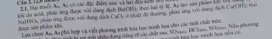 Câu 2.
2.1. Hai muối A_(1),A_(2) có các đặc điểm sau: cả hai đều kem DUT
khi dư acid, phản ứng được với dung dịch Ba(OH)_(2) theo hai tỷ lệ; A_(2) tạo sản phẩm khi
Ca(OH)_(2) thu NaHSO_(4), phản ứng được với dung dịch CaCl_(2) ở nhiệt độ thường phản ứng với dung dịch
trump
được sản phẩm khí.
Lựa chọn A_(1),A_(2) phù hợp và viết phương trình hóa học minh họa cho các tính chất trên.
...tinh hi rơi mất nhãn đựng riêng rẽ các chât sau: SO_(3(hoi)),HCl_((khi)),SO_(2(khi)) Nêu phương
trình hóa học minh họa nếu có.