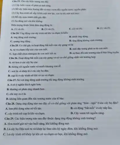 Câu 23. Cho các hiện tượng sau đây:
(1) Cây luôn vươn về phía có ánh sáng.
(2) Rễ cây luôn mọc hướng đất và mọc vươn đến nguồn nước, nguồn phân.
(3) Cây hoa trinh nữ xếp lá khi mặt trời lặn, xóe lá khi mặt trời moC.
(4) Rễ cây mọc tránh chất gây độC.
(5) Sự đóng mờ của khí khổng.
Hiện tượng thuộc hình thức ứng động là:
A. (3) và (4).
B. (3) và (5)
C. (2) và (4)
D. (1) và (5).
Câu 24. Ứng động của cây trinh nữ khi va chạm là kiểu
A. ứng động sinh trường.
B. nhiệt ứng động.
C. quang ứng động.
D. ứng động không sinh trường.
Câu 25. Cơ chế gây ra hoạt động bắt mồi của cây gọng vó là
A. sự va chạm tiếp xúc của con mồi.
B. mùi đặc trưng phát ra từ con mồi.
C. hợp chất chứa nitrogen do con mồi tiết ra.
D. sự thay đổi sức trương của tế bào lông tuyến.
Câu 26. Hoạt động bắt mồi của cây gọng vó có cơ chế giống nhất với trường hợp
A. nở hoa ở các cây họ cúC.
B. hướng tới nguồn nước và muối khoáng của racute (hat (e))
C. xoè lá và khép lá ở các cây họ đậu.
D. cụp lá ở cây trinh nữ khi có sự va chạm.
Câu 27. So với ứng động sinh trưởng thì ứng động không sinh trưởng
A. ít có ý nghĩa thích nghi hơn.
B. thường có phản ứng nhanh hơn.
C. chỉ xảy ra ở lá.
D. không liên quan đến sức trương nước của tế bào.
Câu 28. Dạng ứng động nào sau đây cổ cơ chế giống với phản ứng "thức - ngủ" ở các cây họ đậu?
A. hoa phù dung sớm nở tối tàn.
B. cử động "bắt mồi" ở cây nắp ấm.
C. cây trinh nữ cụp lá khi va chạm.
D. Cây vươn tới nguồn sáng.
Câu 29. Các hiện tượng nào sau đây thuộc dạng ứng động không sinh trưởng?
A. Hoa mười giờ nở vào buổi sáng., khí khổng đóng mở.
B. Lá cây họ Đậu xoè ra và khép lại theo chu kỳ ngày đêm, khí khổng đóng mở.
C. Lá cây trinh nữ khép lại khi có va chạm cơ học, khí khổng đóng mở.