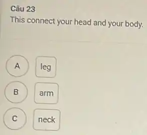 Câu 23
This connect your head and your body.
A leg A
B
arm
C C
neck