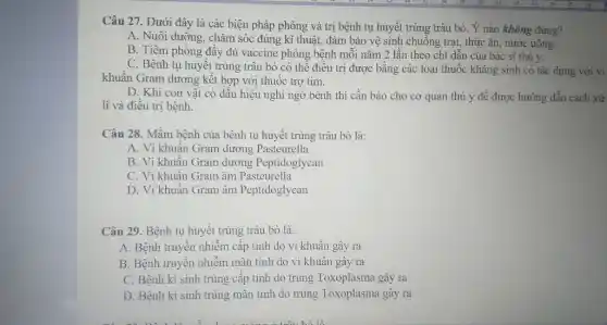 Câu 27. Dưới đây là các biện pháp phòng và trị bệnh tụ huyết trùng trâu bò. Ý nào không đúng?
A. Nuôi dưỡng, chǎm sóc đúng kĩ thuật,đảm bảo vệ sinh chuồng trại, thức ǎn.nước uống.
B. Tiêm phòng đầy đủ vaccine phòng bệnh mỗi nǎm 2 lần theo chi dẫn của bác sĩ thú y.
C. Bệnh tụ huyết trùng trâu bò có thể điều trị được bǎng các loại thuốc kháng sinh có tác dụng với vi
khuẩn Gram dương kết hợp với thuốc trợ tim.
D. Khi con vật có dấu hiệu nghi ngờ bệnh thì cần báo cho cơ quan thú y để được hướng dẫn cách xử
lí và điều trị bệnh.
Câu 28. Mầm bệnh của bệnh tụ huyết trùng trâu bò là:
A. Vi khuân Gram dương Pasteurella
B. Vi khuân Gram dương Peptidoglycan
C. Vi khuẩn Gram âm Pasteurella
D. Vi khuần Gram âm Peptidoglycan
Câu 29. Bệnh tụ huyết trùng trâu bò là:
A. Bệnh truyền nhiễm cấp tính do vi khuẩn gây ra
B. Bệnh truyền nhiễm mãn tính do vi khuân gây ra
C. Bệnh kí sinh trùng cấp tính do trùng Toxoplasma gây ra
D. Bệnh kí sinh trùng mãn tính do trùng Toxoplasma gây ra