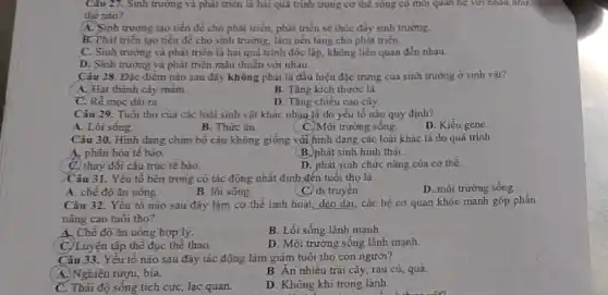 Câu 27. Sinh trưởng và phát triển là hai quả trình trong cơ thể sông có mới quan hệ với nhau như
thế nào?
A. Sinh trường tạo tiền để cho phát triển, phát triển sẽ thúc đẩy sinh trưởng.
B. Phát triển tạo tiền đề cho sinh trưởng, làm nền tǎng cho phát triển.
C. Sinh trường và phát triển là hai quá trình độc lập,không liên quan đến nhau.
D. Sinh trường và phát triển mâu thuẫn với nhau.
Câu 28. Đǎc điểm nào sau đây không phải là dấu hiệu đặc trưng của sinh trường ở sinh vật?
A. Hạt thành cây mầm.
B. Tǎng kích thước lá.
C. Rễ mọc dài ra.
D. Tǎng chiều cao cây.
Câu 29. Tuổi tho của các loài sinh vật khác nhau là do yếu tố nào quy định?
A. Lối sống.
B. Thức ǎn.
C. Môi trường sống.
D. Kiểu gene.
Câu 30. Hình dạng chim bổ câu không giống với hình dạng các loài khác là do quá trinh
A, phân hóa tế bào.
B. phát sinh hình thái.
C. thay đổi cấu trúc tế bào.
D. phát sinh chức nǎng của cơ thể.
Câu 31. Yếu tố bên trong có tác động nhất định đến tuổi tho là
A. chê độ ǎn uông.
B. lối sống.
C. di truyên.
D. môi trường sống.
Câu 32. Yếu tố nào sau đây làm cơ thể linh hoạt dẻo dai, các hệ cơ quan khỏe mạnh góp phần
nâng cao tuổi thọ?
A. Chế độ ǎn uống hợp lý.
B. Lối sống lành mạnh.
C. Luyện tập thể dục thể thao
D. Môi trường sông lành mạnh.
Câu 33. Yếu tố nào sau đây tác động làm giảm tuổi thọ con người?
A. Nghiện rượu, bia.
B. Ân nhiêu trái cây, rau củ, quả.
C. Thái độ sông tích cực, lạc quan.
D. Không khí trong lành.