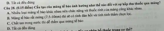 Câu 28. (0.15 điểm)Cấu tạo của màng tế bào ảnh hưởng như thế nào đối với sự hấp thu thuốc qua màng?
A. Nhiều loại màng tế bào khác nhau nên chức nǎng và thuốc tính của màng cũng khác nhau.
B. Màng tế bào rất mỏng (7.5-10nm)
thì sẽ có tính đàn hồi và tính tính thấm chọn lọC.
C. Chất tan trong nước thì dễ thấm qua màng tế bào
D. Tất cả đều đúng
D. Tất cả đều đúng