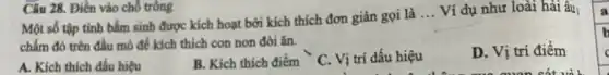 Câu 28. Điền vào chỗ trống
Một số tập tính bẩm sinh được kích hoạt bởi kích thích đơn giản gọi là
__ Ví dụ như loài hải âu
chấm đó trên đầu mỏ để kích thích con non đòi ǎn.
A. Kích thích dấu hiệu
B. Kích thích điểm C. Vị trí dấu hiệu
D. Vị trí điểm
b