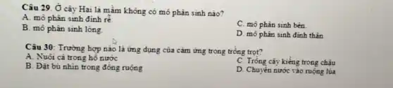 Câu 29. Ở cây Hai lá mầm không có mô phân sinh nào?
A. mô phân sinh đinh rễ.
C. mô phân sinh bên.
B. mô phân sinh long
D. mô phân sinh đinh thân
Câu 30: Trường hợp nào là ứng dụng của cảm ứng trong trồng trọt?
A. Nuôi cá trong hô nước
C. Trồng cây kiếng trong chậu
B. Đặt bù nhin trong đồng ruộng
D. Chuyển nước vào ruộng lúa