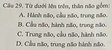 Câu 29. Từ dưới lên trên, thân não gôm:
A. Hành não, cầu não, trung não.
B. Cầu não, hành não, trung não.
C. Trung não, cầu não, hành não.
D. Cầu não, trung não hành não.