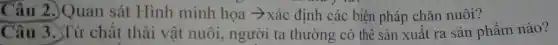 Câu 2.)Quan sát Hình minh hoa arrow  xác định các biện pháp chǎn nuôi?
Câu 3.Từ chất thải vật nuôi , người ta thường có thể sản xuất ra sản phẩm nào?