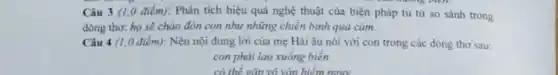 Câu 3 (1,0 điểm): Phân tích hiệu quả nghệ thuật của biện pháp tu từ so sánh trong
dòng thơ: họ sẽ chào đón con như những chiến binh quả cảm.
Câu 4 (1,0 điểm): Nêu nội dung lời của mẹ Hải âu nói với con trong các dòng thơ sau:
con phải lao xuống biển
có thể gắn vô vàn hiểm nguy