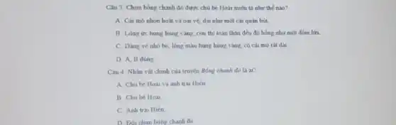 Câu 3: Chim bồng chanh đỏ được chủ bé Hoài miêu tả như thế nào?
A. Cái mò nhọn hoát và oai vệ dài như một cài quản bút.
B. Lông ức hung hung vàng, còn thì toàn thân đều đó hồng như một đồm lửa.
C. Dang vè nhỏ bé, lông màu hung hùng vàng, có cái mó rất dài
D. A, B đúng
Câu 4: Nhân vật chính của truyện Bồng chanh đỏ là ai?
A. Chú bé Hoà và anh trai Hiên
B. Chú bé Hoài
C. Anh trai Hiên
D. Đôi chim bóng chanh đó