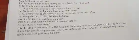 Câu 3. Cho các sự kiên sau:
1. Ở kỳ Silurian mực nước biển dâng cao và xuất hiện thực vật có mach.
II. Kỷ Cambrian có sự phân hóa lớp tào.
III. Ở kỷ Carboni -ferous có sự xuât hiên của thực vật có hat.
IV. Kỳ Jura là thời kỳ hưng thịnh của động vật bò sát cô.
V. Kỷ Cretacecous (Phần Trǎng) là thời điểm xuất hiện của thực vật có hoa.
VI. Trong đại Thái Cô Trái Đất được hình thành.
VII. Kỷ Đệ Tứ có sự xuất hiện loài người.
VIII. Ở kỳ Ordivician và Permian có quá trình bǎng hà.
Có bao nhiêu sự kiên đúng?
Câu 4. Hàng tỷ nǎm trước Trái Đất được hình thành, sinh vật đã xuất hiện tiến hóa trên Trái đất và hình
thành Sinh giới đa dạng như ngày nay Quan sát hình bên dưới và cho biết nhân định số mấy là đúng về
tiến hóa của Sinh giới trong hình này?