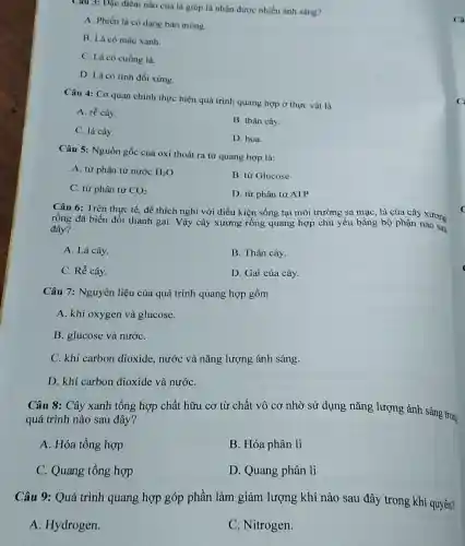 Câu 3: Dậc điểm nào cùa lá giúp lá nhận được nhiều ánh sáng?
A. Phiến lá có dạng bản mòng.
B. Lá có màu xanh.
C. Lá có cuống lá
D. Lá có tính đối xứng.
Câu 4: Cơ quan chính thực hiện quá trình quang hợp ở thực vật là
A. rễ cây.
B. thân cây.
C. lá cây.
D. hoa.
Câu 5: Nguồn gốc của oxi thoát ra từ quang hợp là:
A. từ phân tử nước H_(2)O
B. từ Glucose
C. từ phân tử CO_(2)
D. từ phân tử ATP
Câu 6: Trên thực tế, để thích nghi với điều kiện sống tại môi trường sa mạc, lá của cây xương
rồng đã biến đổi thành gai. Vậy cây xương rông quang hợp chủ yếu bằng bộ phận nào sau
đây?
A. Lá cây.
B. Thân cây.
C. Rễ cây.
D. Gai của cây.
Câu 7: Nguyên liệu của quá trình quang hợp gồm
A. khí oxygen và glucose.
B. glucose và nướC.
C. khí carbon dioxide, nước và nǎng lượng ánh sáng.
D. khí carbon dioxide và nướC.
Câu 8: Cây xanh tổng hợp chất hữu cơ từ chất vô cơ nhờ sử dụng nǎng lượng ánh sáng trong
quá trình nào sau đây?
A. Hóa tổng hợp
B. Hóa phân li
C. Quang tổng hợp
D. Quang phân li
Câu 9: Quá trình quang hợp góp phần làm giảm lượng khí nào sau đây trong khí quyển?
A. Hydrogen.
C. Nitrogen.