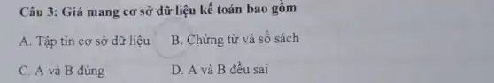 Câu 3: Giá mang cơ sở dữ liệu kế toán bao gồm
A. Tập tin cơ sở dữ liệu
B. Chứng từ và sổ sách
C. A và B đúng
D. A và B đều sai