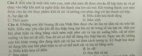 Câu 3: Khi còn là một chú mèo con, một chú mèo đã được cho ǎn đồ hộp thức ǎn và sẽ
chạy vào bếp khi anh ta nghe thấy âm thanh của lon cái mở. Khi trưởng thành, con mèo
được cho ǎn chi thực phẩm khô từ túi và không còn phản ứng với âm thanh mở hộp.
A. Sự dập tắt
B. Điều kiện hóa hành động
C. Thói quen
D. Bâm sinh
Câu 4: Những con khi hoang dã của Nhật Bản được cho ǎn lúa mi nằm rải rác trên bãi
biển. Điều này yêu cầu khi để thu thập từng hạt lúa mì đó trong sô các hạt cát. Một con
khi phát hiện ra rằng bằng cách ném một nǎm cát và lúa mì xuống biển,cát sẽ chim
xuống và lúa mi sẽ nồi. Sau đó nó có thể dễ dàng thu thập lúa mi. Ngay sau đó,những
con khi khác trong đàn đang tách cát và lúa mì theo cách tương tự. Kỳ thuật học được
sử dụng khi con khi phát hiện ra nó có thể tách cát và lúa mi bằng nước
A. Điều kiện hóa cổ điên
B. In vêt
C. Bản nǎng
D. Học thử và sai