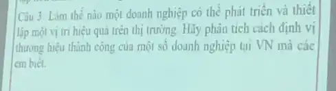 Câu 3: Làm the nào một doanh nghiệp có thể phát triên và thiết
lập một vị tri hiệu quả trên thị trường. Hãy phân tích cách định vị
thương hiệu thành công của một số doanh nghiệp tại VN mà các
em biết.