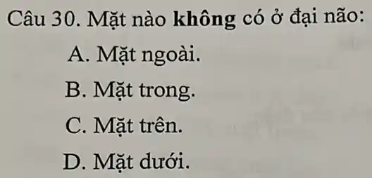 Câu 30. Mặt nào không có ở đại não:
A. Mặt ngoài.
B. Mặt trong.
C. Mặt trên.
D. Mặt dưới.