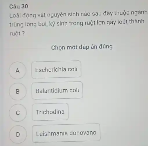 Câu 30
Loài động vật nguyên sinh nào sau đây thuộc ngành
trùng lông bơi, ký sinh trong ruột lợn gây loét thành
ruột?
Chọn một đáp án đúng
A ) Escherichia coli
B
Balantidium coli
C C
Trichodina
D
.
Leishmania donovano
B