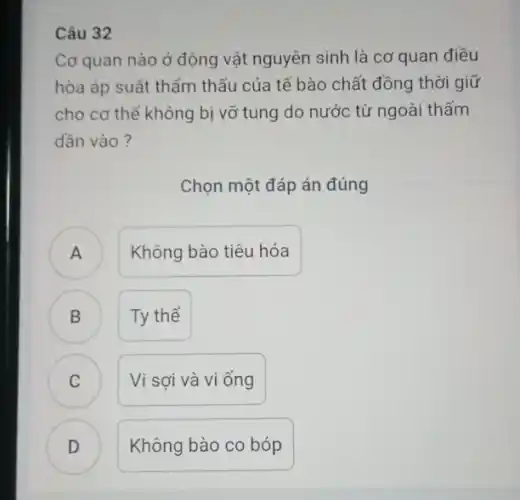 Câu 32
Cơ quan nào ở động vật nguyên sinh là cơ quan điều
hòa áp suất thẩm thấu của tế bào chất đồng thời giữ
cho cơ thể không bị vỡ tung do nước từ ngoài thấm
dần vào?
Chọn một đáp án đúng
A ) Không bào tiêu hóa
B Ty thể
C Vi sợi và vi ống C
D Không bào co bóp D