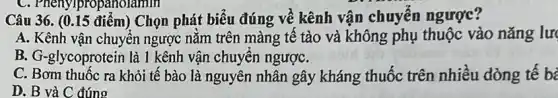 Câu 36. (0.15 điểm)Chọn phát biểu đúng về kênh vận chuyển ngược?
A. Kênh vận chuyển ngược nằm trên màng tế tào và không phụ thuộc vào nǎng lun
B. G-glycoprotein là 1 kênh vận chuyển ngượC.
C. Bơm thuốc ra khỏi tế bào là nguyên nhân gây kháng thuốc trên nhiều dòng tế b¿
D. B và C đúng