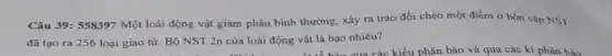 Câu 39: 558397 Một loài động vật giảm phân bình thường, xảy ra trao đổi chéo một điểm ở bốn cập NST
đã tạo ra 256 loại giao từ. Bộ NST 2n của loài động vật là bao nhiêu?