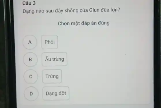 Câu 3
Dạng nào sau đây không của Giun đũa lợn?
Chọn một đáp án đúng
A Phôi
A
B
Ấu trùng
C C
Trứng
D
D
Dạng đốt