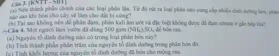 Câu 3.[KNTT - SBT]
(a) Nêu thành phần chính của các loại phân lân. Từ đó rút ra loại phân nào cung cấp nhiều dinh dưỡng hơn phân
nào sau khi bón cho cây sẽ làm cho đất bị cứng?
(b) Tại sao không nên để phân đạm,phân kali ẩm ướt và đặc biêt không được để đạm nitrate ở gần bếp lửa?
-Câu 4. Một người làm vườn đã dùng 500 gam (NH_(4))_(2)SO_(4) đề bón rau.
(a) Nguyên tố dinh dưỡng nào có trong loại phân bón này?
(b) Tính thành phần phần trǎm của nguyên tố dinh dưỡng trong phân bón đó.
(c) Tính khối lượng của nguyên tố dinh dưỡng đã bón cho ruộng rau.