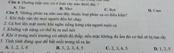 Câu 4. Hướng tiếp xúc có ở loài cây nào dưới đây ?
my dục trung cho loại
A. Táo
B. Nho
C. Roi
D. Cam
Câu 5. Những phản xạ nào sau đây thuộc loại phản xạ có điều kiện?
1. Khi thấy rắn thì mọi người đều bỏ chạy
2. Cá bơi lên mặt nước khi nghe tiếng kẻng của người nuôi cá
3. Khiêng vật nặng cơ thể bị ra mồ hôi
4. Khi ở trong môi trường có nhiệt độ thấp,nếu mặc không đủ ấm thì cơ thể sẽ bi run rấy
5. Tinh tinh dùng que để bắt mối trong tổ ra ǎn
A. 1,2,34
B. 1,2,3 .4.5
C. 2,3,4,5
D. 1,2,5