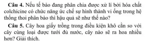 Câu 4. Nếu tế bào đang phân chia được xử lí bởi hóa chất
colchicine có chức nǎng ức chế sự hình thành vi ống trong hệ
thống thoi phân bào thì hậu quả sẽ như thế nào?
Câu 5. Cây hoa giấy trồng trong điều kiện khô cằn so với
cây cùng loại được tưới đủ nước, cây nào sẽ ra hoa nhiều
hơn? Giải thích.