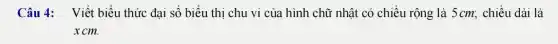 Câu 4: Viết biểu thức đại số biểu thi chu vi của hình chữ nhật có chiều rộng là 5 cm;chiều dài là
xcm