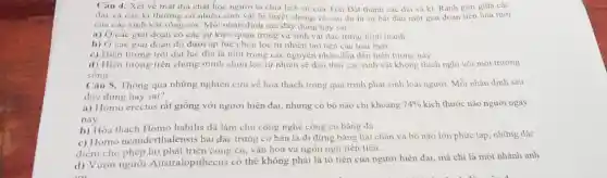 Câu 4. Xét về mắt địa chất học người ta chia lich sử của Trái Đất thành các đai và ki. Ranh giới giữa các
đai và các ki thường có nhiều sinh vật bị tuyệt chùng và sau đó là sư bắt đầu một giai đoạn tiến hoá mới
của các sinh vật sống sót. Mỗi nhận định sau đây đúng hay sai?
a) O các giai đoạn có các sự kiện quan trọng và sinh vật đǎc trưng hinh thành
b) O các giai đoạn đó dưới áp lực chon loc tư nhiên tạo nèn các loài mới.
c) Hiện tượng trôi dat lue địa là một trong các nguyên nhân dẫn đến hiện tượng này
d) Hiên tương trên chứng minh chọn lọc tự nhiên sẽ đảo thái các sinh vật không thích nghi với môi trường
song.
Câu 5. Thông qua những nghiên cứu về hóa thạch trong quá trình phát sinh loài người. Mỗi nhân định sau
đây đúng hay sai?
a) Homo erectus rất giống với người hiện đại, nhưng có bộ nào chi khoảng 74%  kích thước não người ngày
nay.
b) Hóa thach Homo habilis đã làm chủ công nghệ công cụ bằng đá.
c) Homo neanderthalensis hai đặc trưng cơ bản là đi đứng bằng hai chân và bộ não lớn phức tap; những đặc
điểm cho phép họ phát triển công cụ, vǎn hóa và ngôn ngữ tiên tiến
d) Vượn người Australopithecus có thể không phải là tô tiên của người hiện đai, mà chi là một nhánh anh