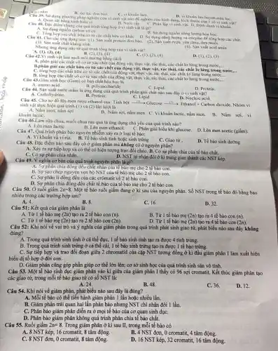 Câu 40. Đặc điếm chung của quá trình tổng hợp ở vi sinh vật là gì?
A. Sử dụng nguồn carbon vô cơ.
C. Tổng hợp các chất hữu cơ từ các chất hữu cơ kháC.D. Sử dụng nǎng lượng và enzyme để tổng hợp các chất
B. Sử dụng nguồn nǎng lượng hóa họC.
D. vi khuân lưu huỳnh màu lụC.
Câu 39. Sử dụng phương pháp nghiên cứu vi sinh vật nào để nghiên cứu hình dạng, kích thước của 1 số vi sinh vật?
A. Quan sát bằng kính hiến vi.
B. Nuôi cấy.
C. Phân lập vi sinh vật. D. Định danh vi khuẩn.
B. táo lục đơn bào.
C. vi khuân lam.
Câu 41. Cho các ứng dụng sau: (1). Sản xuất protein đơn bào. (2). Sản xuất rượu, sữa chua,dưa muối.
(3). Sản xuất chất kháng sinh.
Nhưng ứng dụng nào từ quá trình tổng hợp của vi sinh vật?
(4). Sản xuất acid amin
A. (1), (3), (4)
C. (1), (2), (4)
A. amino acid.
C. Lipid.
D. Protein.
B. (2), (3), (4)
Câu 42.Vi sinh vật làm sạch môi trường bằng cách
D. (1), (2)(3)
A. phân giải các chất vô cơ từ xác chết của động vật, thực vật, rác thái, các chất lợ lửng trong nướC....
__
B.phân giải các chất hữu cơ từ xác chết của động vật,thực vật, rác thải,các chất lơ lừng trong nước,...
C. tổng hợp các chất hữu cơ từ xác chết của động vật, thực vật, rác thải, các chất lợ lừng trong nước
D. tổng hợp các chất vô cơ từ xác chết của động vật, thực vật, rác thải, các chất lơ lừng trong nướC.
__
__
Câu 43.Gôm sinh học (Gum) có bản chất hóa học là
B. polysaccharide.
Câu 44. Sản xuất nước mắm là ứng dụng của quá trình phân giải chất nào sau đây ở vi sinh vật?
C. Lipid.
A. Carbohydrate.
B. Protein.
D. Nucleic acid.
Câu 45. Cho sơ đồ lên men rượu ethanol sau:Tinh bột
sinh vật thực hiện quá trình (1) và (2)lần lượt là
Tinh bacute (hat (o))txrightarrow ((1))Glucosexrightarrow ((2))Ethanol+Carbon dioxide Nhóm vi
A. Nấm men, nấm sợi
khuẩn lactiC.
B. Nấm sợi, nấm men . C. Vi khuẩn lactic, nấm men. B. Nấm sợi, vi
Câu 47. Quá trình phân bào nguyên nhiễm xảy ra ở loại tế bào:
A. Vi khuẩn và vi rút. B. Tế bào sinh tinh hoặc sinh trứng
C. Giao tử
D. Tế bào sinh dưỡng
Câu 46.Làm sữa chua.muối chua rau quả là ứng dụng chủ yếu của quá trình nào?
A. Lên men lactiC.
B. Lên men ethanol. C Phân giải hiếu khi glucose.
D. Lên men acetic (giấm).
Câu 48. Đặc điểm nào sau đây có ở giảm phân mà không có ở nguyên phân?
A. Xảy ra sự tiếp hợp và có thể có hiện tượng trao đối chéo. B. Có sự phân chia của tế bào chất.
C. Có sự phân chia nhân.
D. NST tự nhân đôi ở kì trung gian thành các NST kép.
Câu 49. Ý nghĩa cơ bản của quá trình nguyên phân là gì?
A. Sự phân chia đồng đều chất nhân của tế bào mẹ cho 2 tế bào con.
B. Sự sao chép nguyện vẹn bộ NST của tế bào mẹ cho 2 tế bào con.
C. Sự phân li đồng đều của các crômatit về 2 tế bào con.
D. Sự phân chia đồng đều chất tế bào của tế bào mẹ cho 2 tế bào con.
Câu 50. Ở ruồi giấm 2n=8. Một tế bào ruồi giấm đang ở kì sau của nguyên phân.Số NST trong tế bảo đó bằng bao
nhiêu trong các trường hợp sau?
A. 4.
B. 8.
C. 16.
D. 32
Câu 51: Kết quả của giảm phân là
A. Từ 1 tế bào mẹ (2n) tạo ra 2 tế bào con (n).
B. Từ 1 tế bào mẹ (2n) tạo ra 4 tế bào con (n).
C. Từ 1 tế bào mẹ (2n) tạo ra 2 tế bào con (2n).
D. Từ 1 tế bào mẹ (2n) tạo ra 4 tế bảo con (2n).
Câu 52: Khi nói về vai trò và ý nghĩa của giảm phân trong quá trình phát sinh giao tử, phát biểu nào sau đây không
đúng?
A. Trong quá trình sinh tinh ở cá thể đực, 1 tế bào sinh tinh tạo ra được 4 tinh trùng.
B. Trong quá trình sinh trứng ở cá thể cái, 1 tế bào sinh trứng tạo ra được 1 tế bào trứng.
C. Sự tiếp hợp và trao đổi đoạn giữa 2 chromatid của cặp NST tương đồng ở kì đầu giảm phân I làm xuất hiện
biến dị tổ hợp ở đời con.
D. Giảm phân cũng góp phần giúp cơ thể lớn lên; cơ sở sinh học của quá trình sinh sản vô tính.
Câu 53. Một tế bào sinh dục giảm phân vào kì giữa của giảm phân I thấy có 96 sợi cromatit.Kết thúc giảm phân tạo
các giao tử, trong mỗi tế bào giao tử có số NST là:
A. 24.
B. 48.
C. 36.
D. 12.
Câu 54. Khi nói về giảm phân, phát biểu nào sau đây là đúng?
A. Mỗi tế bào có thể tiến hành giảm phân 1 lần hoặc nhiều lần.
B. Giảm phân trải quan hai lần phân bào nhưng NST chỉ nhân đôi 1 lần.
C. Phân bảo giảm phân diễn ra ở mọi tế bào của cơ quan sinh dụC.
D. Phân bào giảm phân không quá trình phân chia tế bào chất.
Câu 55. Ruồi giấm 2n=8 Trong giảm phân ở kì sau II, trong mỗi tế bào có
A. 8 NST kép, 16 cromatit, 8 tâm động.
B. 4 NST đơn, O cromatit, 4 tâm động.
C. 8 NST đơn, O cromatit, 8 tâm động.
D. 16 NST kép, 32 cromatit, 16 tâm động.