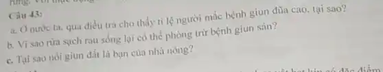 Câu 43:
a. Ở nước ta qua điều tra cho thấy ti lệ người mắc bệnh giun đũa cao tại sao?
b. Vi sao rừa sạch rau sống lại có thể phòng trừ bệnh giun sán?
c. Tại sao nói giun đất là bạn của nhà nông?