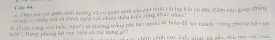 Câu 44:
a. Theo em, co quan sinh dường và cơ quan sinh sàn của thực vật hạt kín có đặc điểm nào giúp chúng
có mặt ở nhiều nơi và thích nghỉ với nhiều điều kiện sống khác nhau?
b. Ocác vùng ven biển, người ta thường trồng phi lao ngoài đè biển để tạo thành "rừng phòng hộ ven
biến". Rừng phòng hộ ven biển có tác dụng gi?