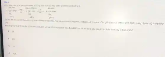 Câu 4
Điểm đẳng điện pi là giá trị pH mà tại đó tống điện tích của một phân tử amino acid bằng 0.
dang anion
dong cation
Sprint Phone the of
Ban có thế yếu cấu sử dụng phương pháp điện di để tách hỗn hợp ba amino acid: arginine, histidine và tyrosine. Các giá trị pi của amino acid được cung cấp trong bảng như
Biết rằng các chất đi chuyển về hai phía của điện cực sẽ dễ dàng tách ra hơn. Độ pH tối ưu để sữ dụng cho quá trình phân tách này là bao nhiêu?
A 76
B 2,0.
C 5,7.
D 10,8 .