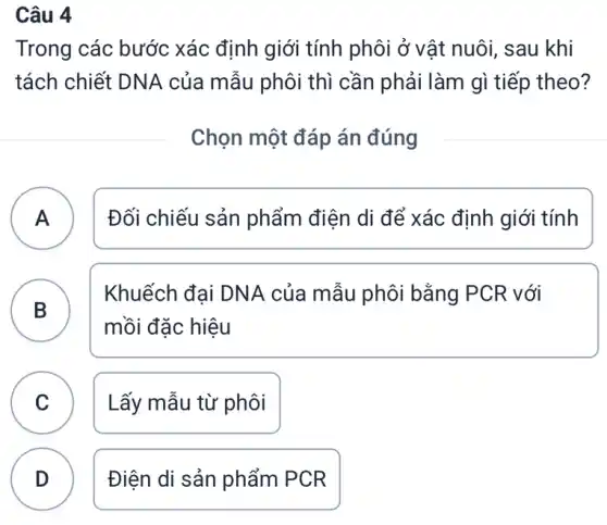 Câu 4
Trong các bước xác định giới tính phôi ở vật nuôi , sau khi
tách chiết DNA của mẫu phôi thì cần phải làm gì tiếp theo?
Chọn một đáp án đúng
A A
Đối chiếu sản phẩm điện di để xác định giới tính
B )
Khuếch đại DNA của mẫu phôi bằng PCR với
mồi đặc hiệu
C Lấy mẫu từ phôi C
D . ) Điện di sản phẩm PCR