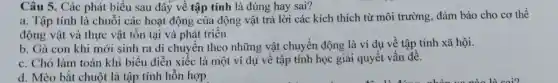 Câu 5. Các phát biểu s sau đây về tập tính là đúng hay sai?
a. Tập tính là ch 1ỗi các hoạ t động tập tính là đúng hơi kích thích từ môi trường . đảm bảo cho cơ thể
động vật và hực vật tồn tai và phát triển
b. Gà con khi mới sinh I ra di chuyết triển nhữn , vật chu vền động là ví du về tập tính xã hội.
c. Ch 5 làm toán khi biểu diễn xiếc là một ví dụ về tập tính học giải quyết vấn đề.
d. Mèo bắt chuột là tập tính hỗn hợp