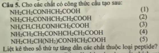 Câu 5. Cho các chất có công thức cấu tạo sau:
(1)
NH_(2)CH_(2)CONHCH_(2)COOH
NH_(2)CH_(2)CONHCH_(2)CH_(2)COOH
(2)
NH_(2)CH_(2)CH_(2)CONHCH_(2)COOH
(3)
NH_(2)CH_(2)CH_(2)CONHCH_(2)CH_(2)COOH
(4)
NH_(2)CH_(2)CH(NH_(2))CONHCH_(2)COOH
(5)
Liệt kê theo số thứ tự tǎng dần các chất thuộc loại peptide?