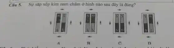 Câu 5. Sự sắp xếp kim nam châm ở hình nào sau đây là đúng?