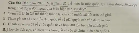 Câu 56: Đến nǎm 2020, Việt Nam đã thể hiện là một quốc gia nǎng động,tích cực
trong hoạt động đối ngoại qua biểu hiện nào sau đây?
A. Cùng với Liên Xô trở thành thành trì của chủ nghĩa xã hội trên thế giới.
B. Tham gia tất cả các diễn đàn quốc tế về giải quyết các vấn đề toàn cầu.
C. Thành viên của 63 tổ chức quốc tế và hơn 500 tổ chức phi chính phủ.
D. Hợp tác tích cực, có hiệu quả trong tất cả các tổ chức, diễn đàn quốc tế.