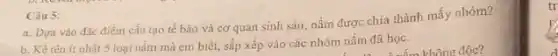 Câu 5:
a. Dựa vào đạc điểm cấu tạo tế bảo và cơ quan sinh sản, nấm được chia thành mấy nhóm?
b. Kề tên ít nhất 5 loại nấm mà em biết, sắp xếp vào các nhóm nấm đã học.