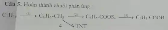 Câu 5:Hoàn thành chuỗi phản ứng :
C_(7)H_(16)xrightarrow (111)C_(6)H_(5)-CH_(3)xrightarrow ((21)C_(6)H_(5)-COOKxrightarrow ((4))C_(6)H_(5)-COOH 4 Delta TNT