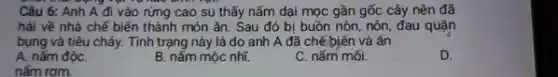 Câu 6: Anh A đi vào rừng cao su thấy nấm dại mọc gần gốc cây nên đã
hái về nhà chế biến thành món ǎn . Sau đó bị buồn nôn, nôn, đau quặn
bụng và tiêu chảy.Tình trạng này là do anh A đã chế biến và ǎn
A. nấm độC.
B. nấm mộc nhĩ.
C. nấm mối.
D.
nấm rơm.