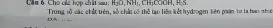 Câu 6. Cho các hợp chât sau: H_(2)O,NH_(3),CH_(3)COOH,H_(2)S
Trong số các chất trên, số chất có thể tạo liên kết hydrogen liên phân tử là bao nhiê
DA: __