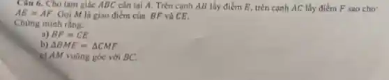 Câu 6. Cho tam giác ABC cân tại A. Trên canh AB lấy điểm E, trên cạnh AC lấy điểm F sao cho:
AE=AF Gọi M là giao điểm của BF và CE.
Chưng minh ràng:
a) BF=CE
b) Delta BMF=Delta CMF
c) AM vuông góc với BC.