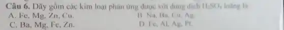 Câu 6. Dãy gồm các kim loại phản ứng được với dung dich H_(2)SO_(4) loang la:
A. Fe, Mg, Zn . Cu.
B. Na, Ba, Cu Ag
C. Ba, Mg, Fe zn
D. Fe, Al, Ag, PL