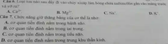 Câu 6. Loại ion nào sau đây đi vào chùy xináp làm bóng chứa axêtincôlin gắn vào màng trước
và vờ ra?
A. Ca^2+
B. Mg^2+
C. Na^+
D. K^+
Câu 7. Chức nǎng giữ thǎng bằng của cơ thể là nhờ:
A. cơ quan tiền đình nằm trong hành não.
B. cơ quan tiền đình nằm trong tai trong.
C. cơ quan tiền đình nằm trong tiểu não.
D. cơ quan tiền đình nằm trong trung khu thần kinh.