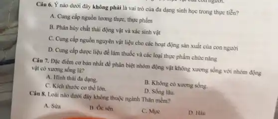 Câu 6. Ý nào dưới đây không phải là vai trò của đa dạng sinh học trong thực tiễn?
A. Cung cấp nguồn lương thực, thực phẩm
B. Phân hủy chất thải động vật và xác sinh vật
C. Cung cấp nguồn nguyên vật liệu cho các hoạt động sản xuất của con người
D. Cung cấp dược liệu để làm thuốc và các loại thực phẩm chức nǎng
Câu 7. Đặc điểm cơ bản nhất để phân biệt nhóm động vật không xương sống với nhóm động
vật có xương sống là?
A. Hình thái đa dạng.
B. Không có xương sống.
C. Kích thước cơ thế lớn.
D. Sống lâu.
Câu 8. Loài nào dưới đây không thuộc ngành Thân mềm?
A. Sửa
B. Oc sên
C. Mure
D. Hàu