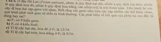 Câu 6. O đậu Hà Lan (Pisum sativum), allele A quy định hạt dài, allele a quy định hạt tròn; allele
B quy định hoa đỏ, allele b quy định hoa trắng, các allele trội là trội hoàn toàn. Tiến hành lai các
cây dị hợp hai cặp gene với nhau.Biết rằng các gene nằm trên các cặp nhiễm sắc thể khác nhau.
quá trình phát sinh giao tử diễn ra bình thường. Các phát biểu về kết quả của phép lai sau đây là
đúng hay sai?
a) F_(1) có 9 kiểu gene.
b) F_(1) có 4 kiểu hình.
c) Tỉ lệ cây hạt dài, hoa đỏ ở F_(1) là 12/16
d) Tỉ lệ cây hạt tròn, hoa trắng ở F_(1) là 9/16