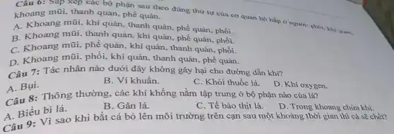 Câu 6: Sắp xếp các bộ phận sau theo đúng thứ tự của cơ quan hô hấp ở người: phời khí quan.
khoang mũi thanh quản, phế quản.
A. Khoang mũi , khí quản, thanh quản, phế quản phổi.
B. Khoang mũi thanh quản, khí quản, phế quản phối.
C.Khoang mũi, phế quản , khí quản, thanh quản, phồi.
D. Khoang mũi , phổi, khí quản thanh quản, phế quản.
Câu 7: Tác nhân nào dưới đây không gây hại cho đường dẫn khí?
A. Bụi.
B. Vi khuần.
C. Khói thuốc lá.
D. Khí oxygen.
Câu 8: Thông thường, các khí khống nằm tập trung ở bộ phận nào của lá?
D. Trong khoang chứa khí.
B. Gân lá.
C. Tế bào thịt lá.
A. Biểu bì lá.
A. Biểu bì sao khi bắt cá bỏ lên môi trường trên cạn sau một khoảng thời gian thì cá