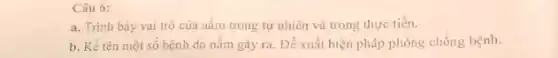 Câu 6:
a. Trình bảy vai trò của nấm trong tự nhiên và trong thực tiến.
b. Kể tên một số bệnh do nấm gây ra. Đề xuất biện pháp phòng chống bệnh.